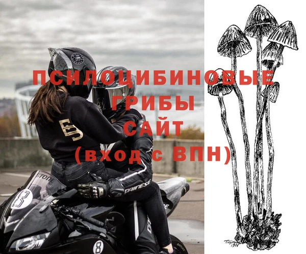 герыч Арсеньев